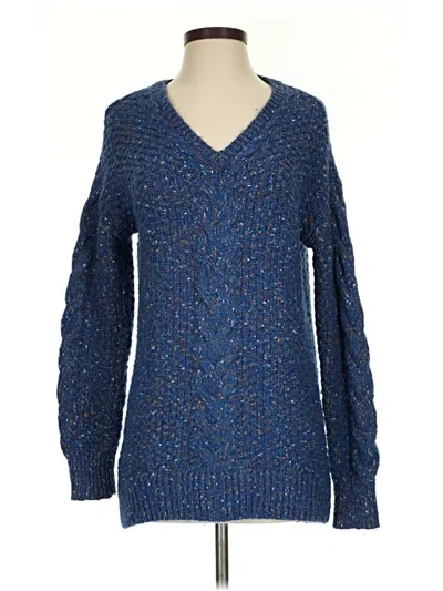 Pre-owned Adrienne Vittadini Pullover Sweater In Blue