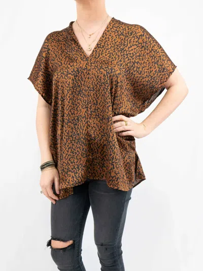 Adrienne Women's V Neck Top In Leopard In Multi