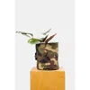 Adw Waxed Camo Plant Pot Cover In Multi