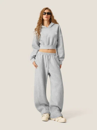 Aelfric Eden Cloud Essential Fleece Cropped Pullover Hoodie Set In Gray