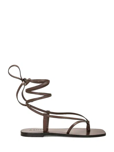A.emery A. Emery Grecian-style Gladiator Sandals For Women In Brown