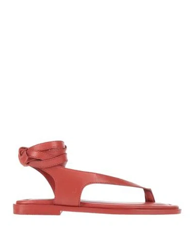 A.emery A. Emery Woman Thong Sandal Brick Size 6 Leather In Red