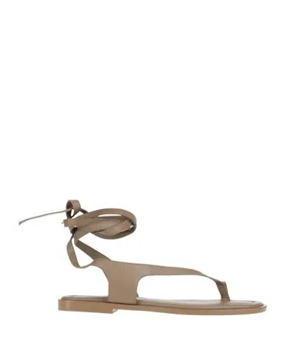 A.emery A. Emery Woman Thong Sandal Khaki Size 7 Leather
