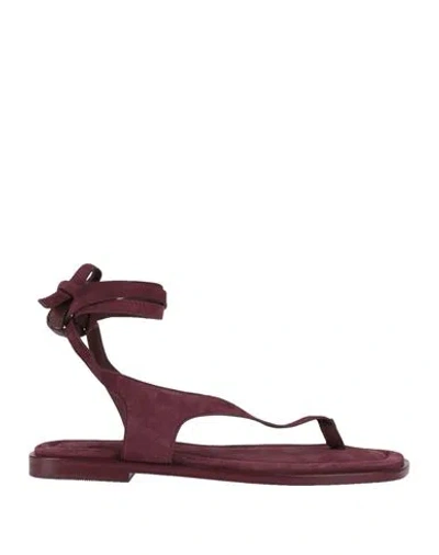 A.emery A. Emery Woman Thong Sandal Plum Size 9 Leather In Burgundy