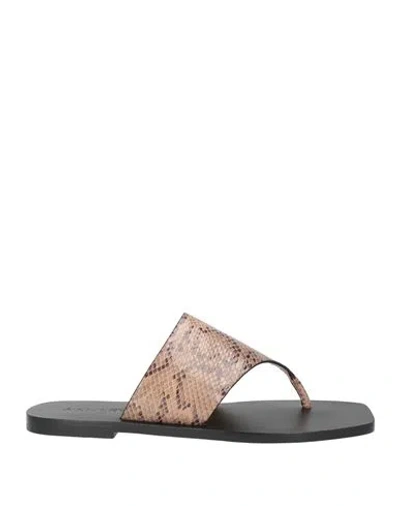 A.emery A. Emery Woman Thong Sandal Sand Size 8 Leather