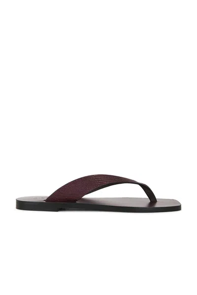 A.emery Kinto Sandal