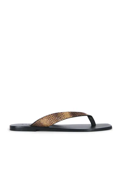 A.emery Kinto Sandal In Dune Embossed Snake & Black