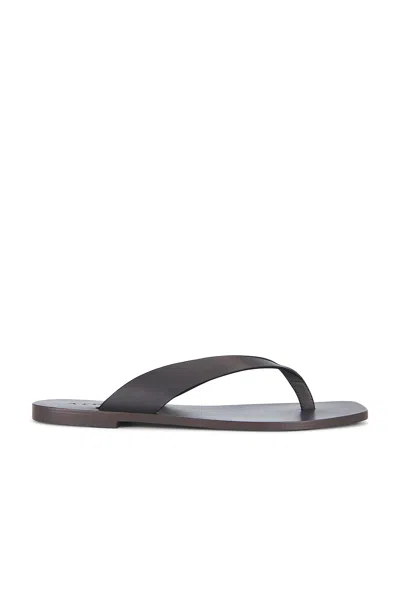 A.emery Kinto Sandal In Shiitake