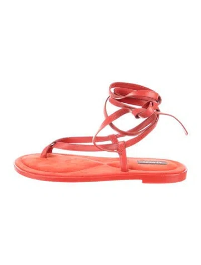 Pre-owned A.emery Leather Sandals In Burgundy