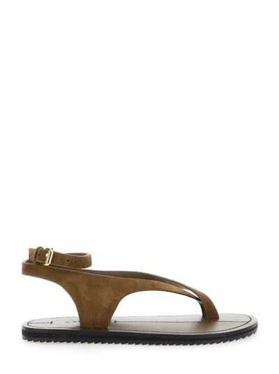 A.emery 'millar' Brown Sandals With Criss-crossed Straps And Buckle Closure In Leather Woman