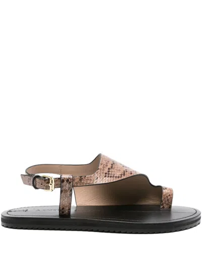 A.emery Milne Flat Sandals In Brown