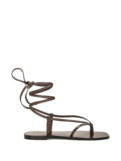 A.emery Nolan Gladiator Sandals In Brown
