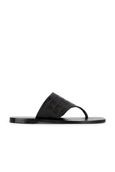 A.emery Paton Sandal In Black