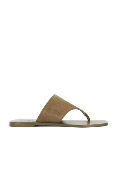 A.emery Paton Leather Sandals In Brown