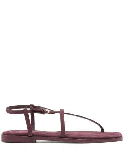 A.emery Remly Flat Sandals In Red
