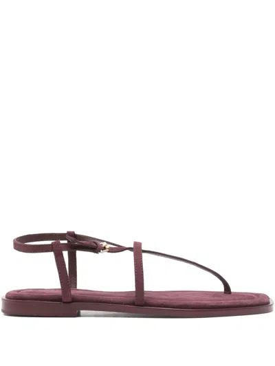 A.emery Remly Flat Sandals In Red
