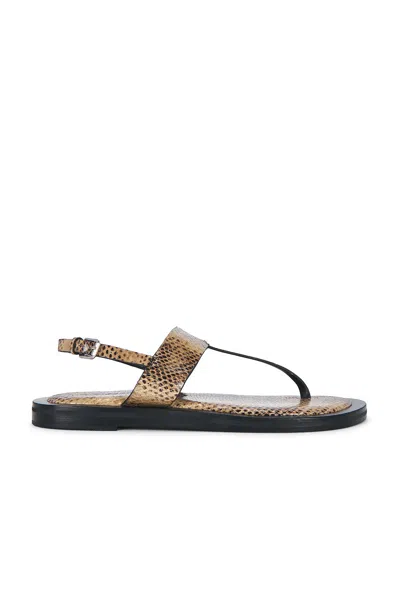 A.emery Somerset Sandal In Dune Embossed Snake
