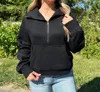 Aemi + Co Dove Funnel Neck Half Zip Sweatshirt In Black In Black
