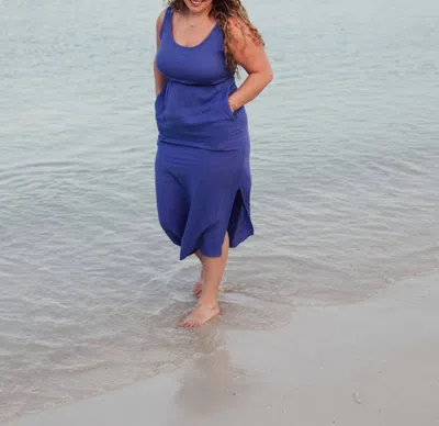 Aemi + Co Palm Springs Dress In Blue