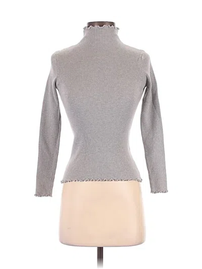 Pre-owned Aemi + Co Turtleneck Sweater In Gray