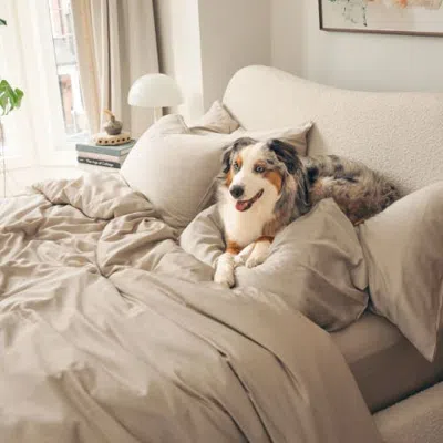 Aeptom Organic Natural Sateen Duvet Cover Set In Stone