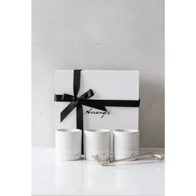 Aerangis Discovery Journey Gift Set In White