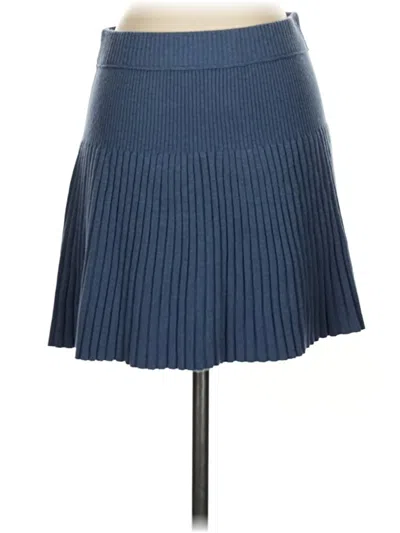 Pre-owned Aerie Casual Skirt In Blue