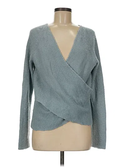 Pre-owned Aerie Pullover Sweater In Blue