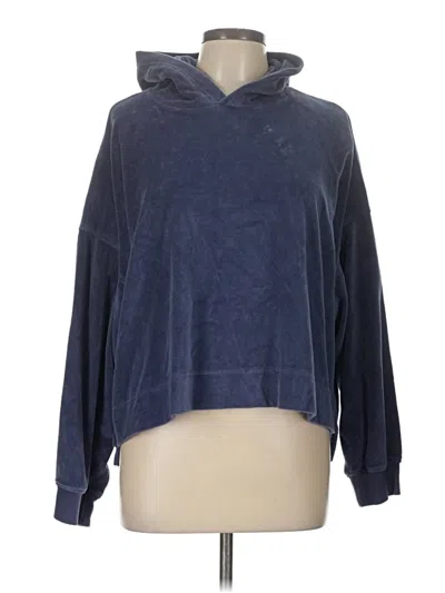 Pre-owned Aerie Pullover Sweater In Blue