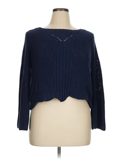 Pre-owned Aerie Pullover Sweater In Blue