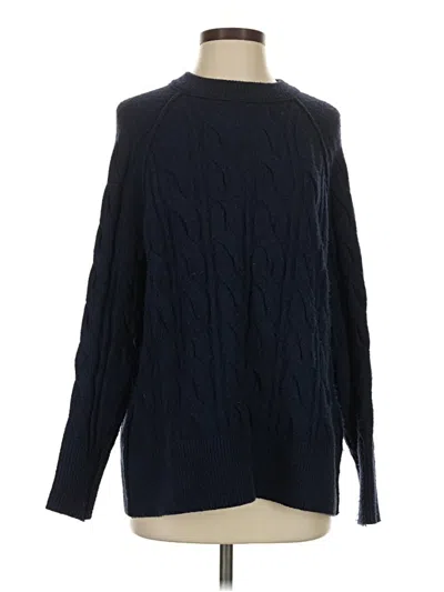 Pre-owned Aerie Pullover Sweater In Blue
