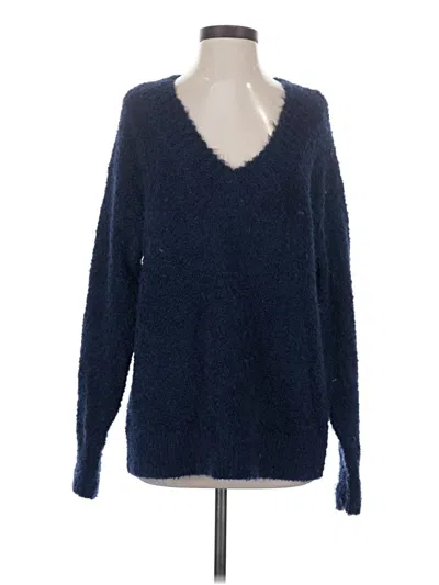 Pre-owned Aerie Pullover Sweater In Blue