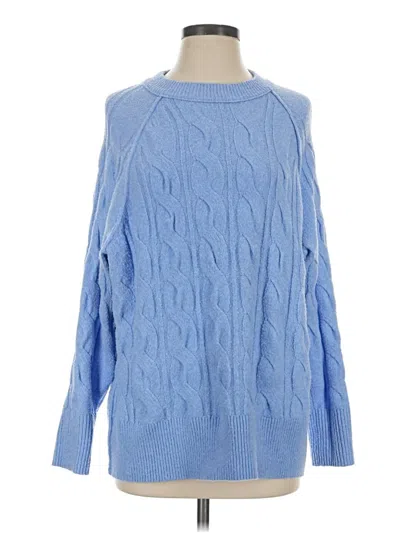 Pre-owned Aerie Pullover Sweater In Blue