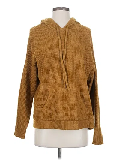 Pre-owned Aerie Pullover Sweater In Brown