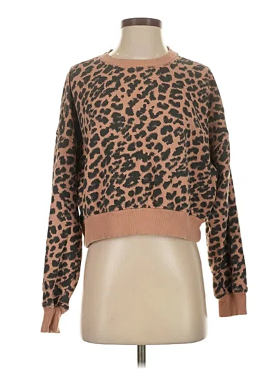 Pre-owned Aerie Pullover Sweater In Brown