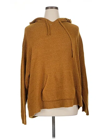 Pre-owned Aerie Pullover Sweater In Brown