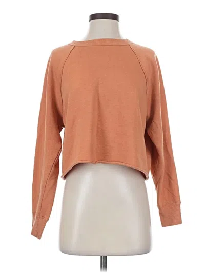 Pre-owned Aerie Pullover Sweater In Brown