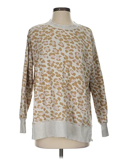 Pre-owned Aerie Pullover Sweater In Brown