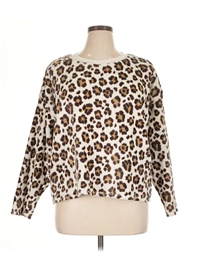 Pre-owned Aerie Pullover Sweater In Brown