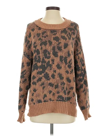 Pre-owned Aerie Pullover Sweater In Brown