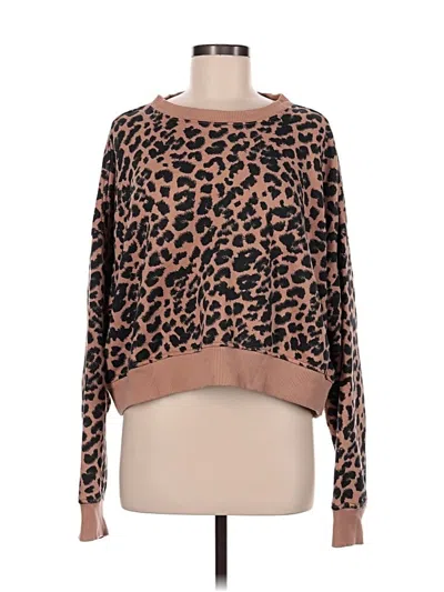 Pre-owned Aerie Pullover Sweater In Brown