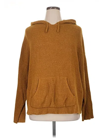 Pre-owned Aerie Pullover Sweater In Brown