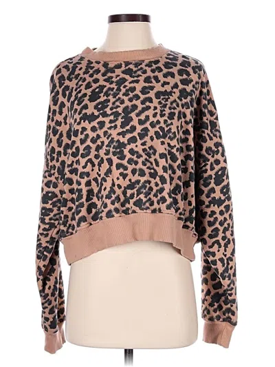 Pre-owned Aerie Pullover Sweater In Brown