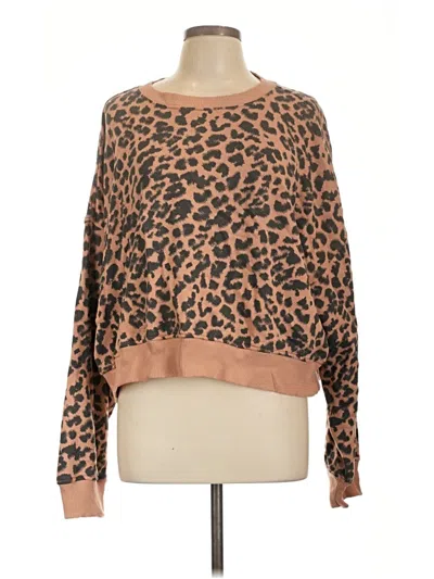 Pre-owned Aerie Pullover Sweater In Brown