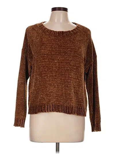 Pre-owned Aerie Pullover Sweater In Brown