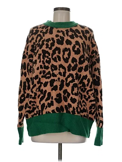 Pre-owned Aerie Pullover Sweater In Green