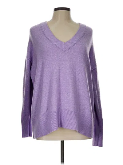Pre-owned Aerie Pullover Sweater In Purple