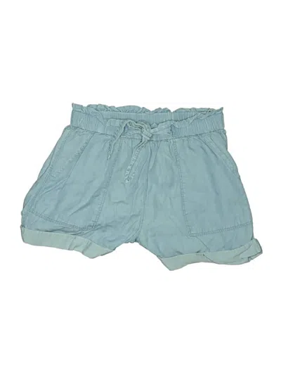Pre-owned Aerie Shorts In Blue