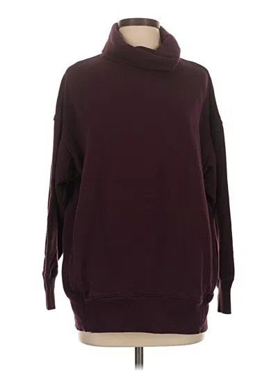 Pre-owned Aerie Turtleneck Sweater In Burgundy