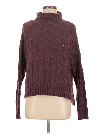 Pre-owned Aerie Turtleneck Sweater In Burgundy